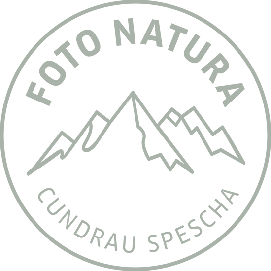 Foto Natura